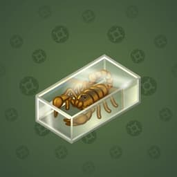 Scorpion