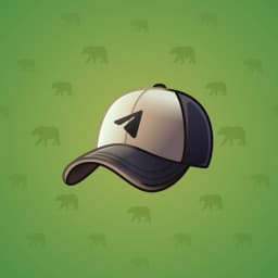 Villager