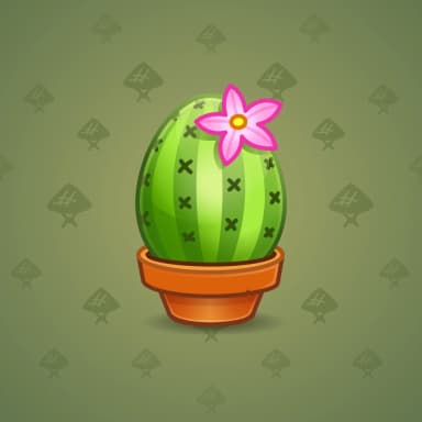 Cactus