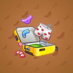 Luggage