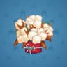 Cotton