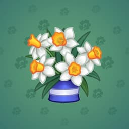 Narcissus