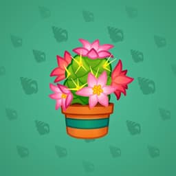 Cactus