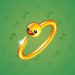 Duck Amulet