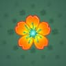 Marigold