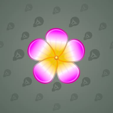 Plumeria