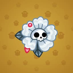 White Rose