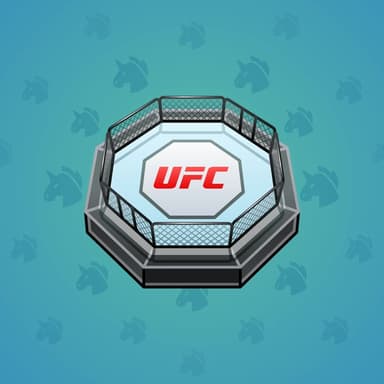 UFC Octagon