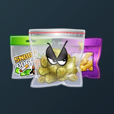Swag Bags