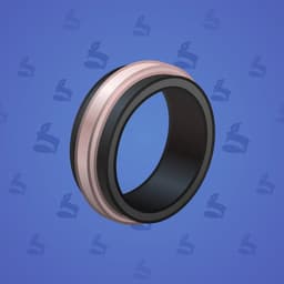 Black Hole