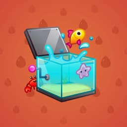 Splash