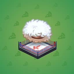 Fighting Ring
