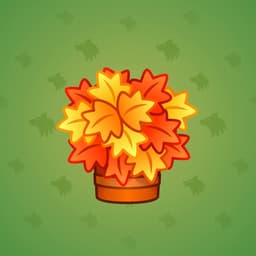 Maple Leaves