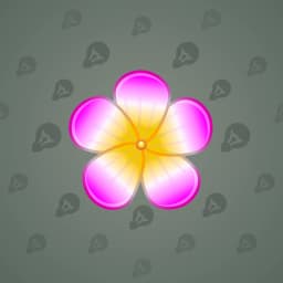 Plumeria