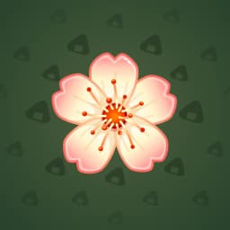 Peach Perfect
