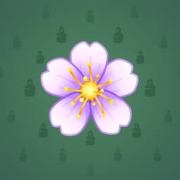 Aubrieta