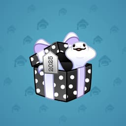 Black Box