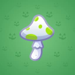 Lime Pop