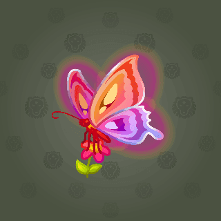 Aurora Moth